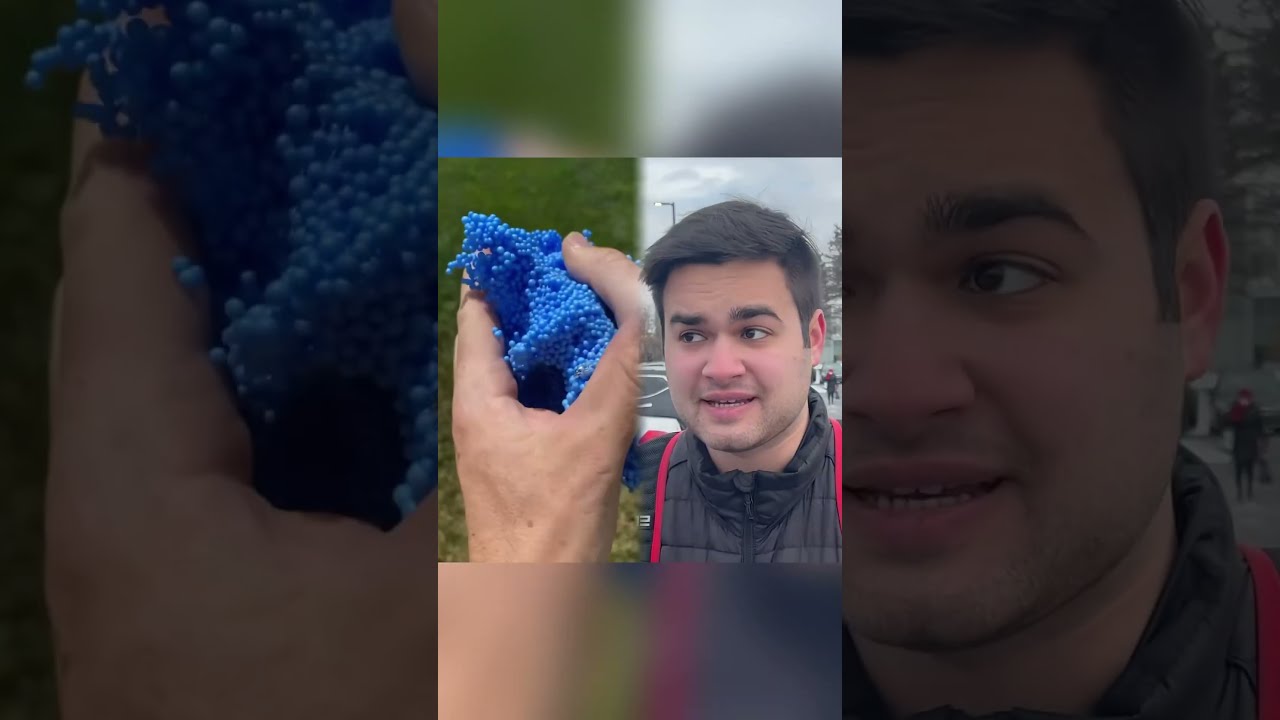 Big Reveal This Is A Video That Can Make You Happy All Day Long 