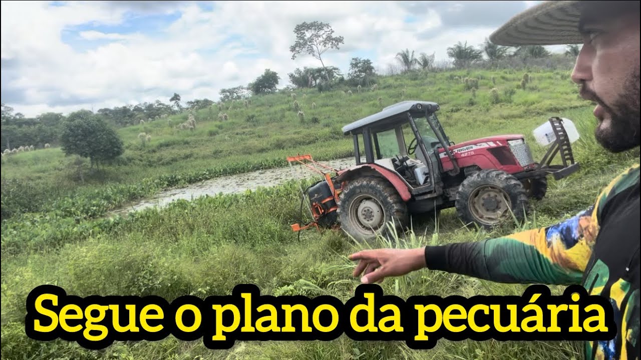 Veneno sendo  aplicado e as obras a todo vapor estão sendo concluídas 