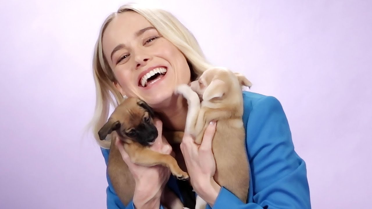 Brie Larson Plays With Puppies While Answering Fan Questions