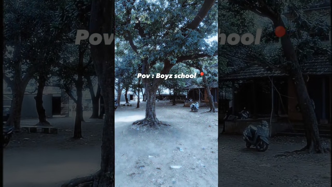 virudhachalam boys high school 