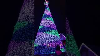 Dollywood's 50 foot megatree
