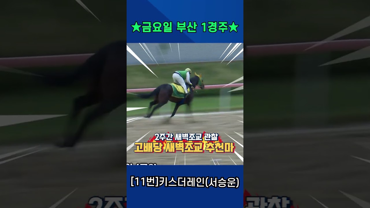 4월24일 금요일 부산 1경주!! 2주간 훈련보인 강백호의 새벽조교 쏘스마!!