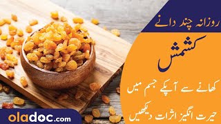 Kishmish Ke Fayde/Fawaid Urdu Hindi - Health Benefits of Raisins - Best Time To Eat Kishmish Daily