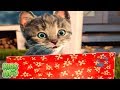 Little Kitten Adventures - Pet Care Dress-Up Party - Mini Games for Toddlers and Children