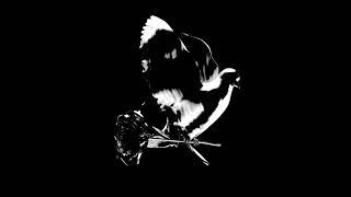 Pop Smoke - Hello (Audio) feat. A Boogie Wit da Hoodie (FLAC, 16-bit - 44.1 kHz)