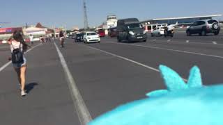 Borobi takes a walk across Gibraltar’s Runway