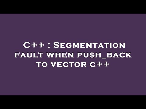 C++ : Segmentation fault when push_back to vector c++