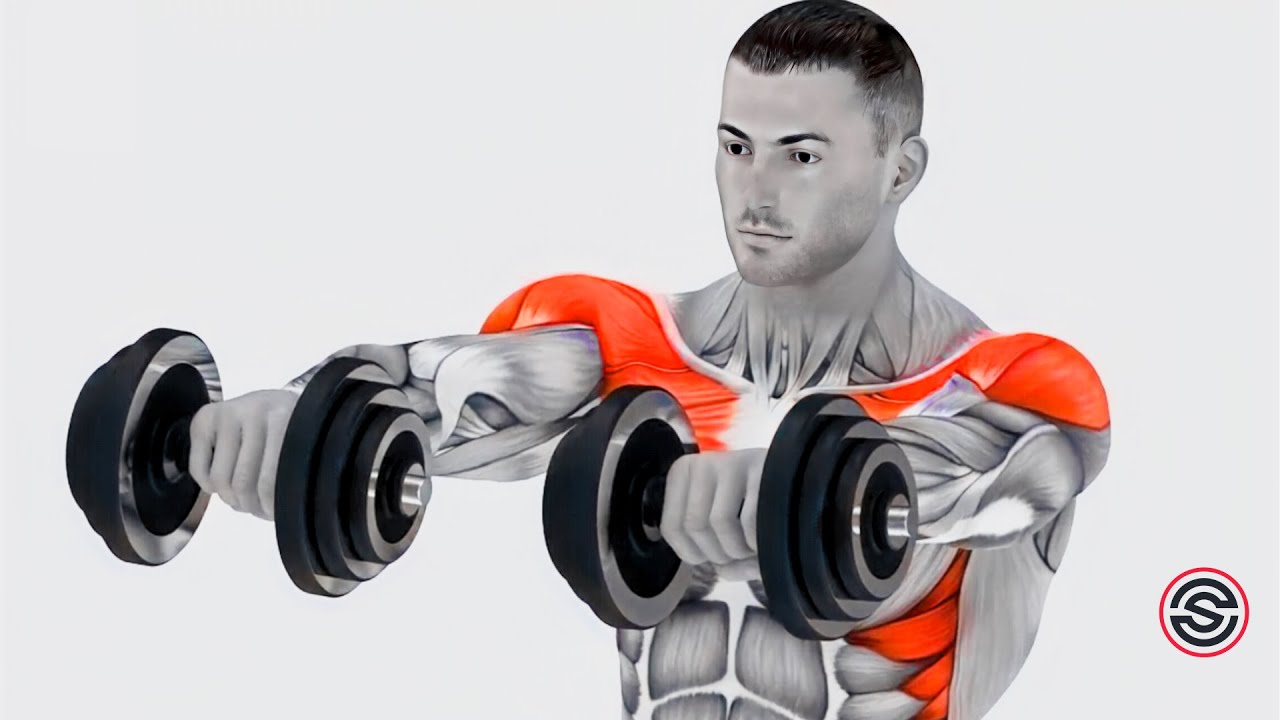 Full Arm Workout - 12 exercises to make your arms Big and perfect 