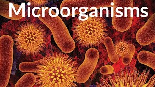 Microorganisms friend and foe 🔥|CLASS 8| Food preservation| NCERT|