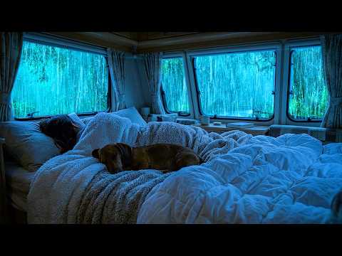 Find Calm Sleep with Heavy Rain and Soft Thunder in a Car on a Stormy Night