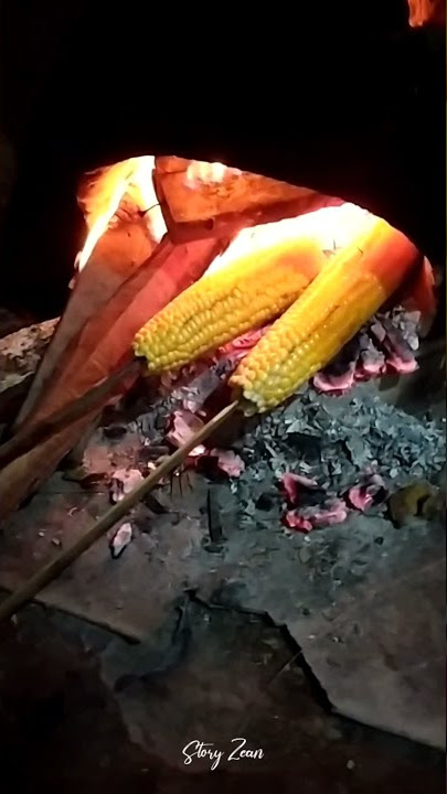 #shorts || Jagung Bakar