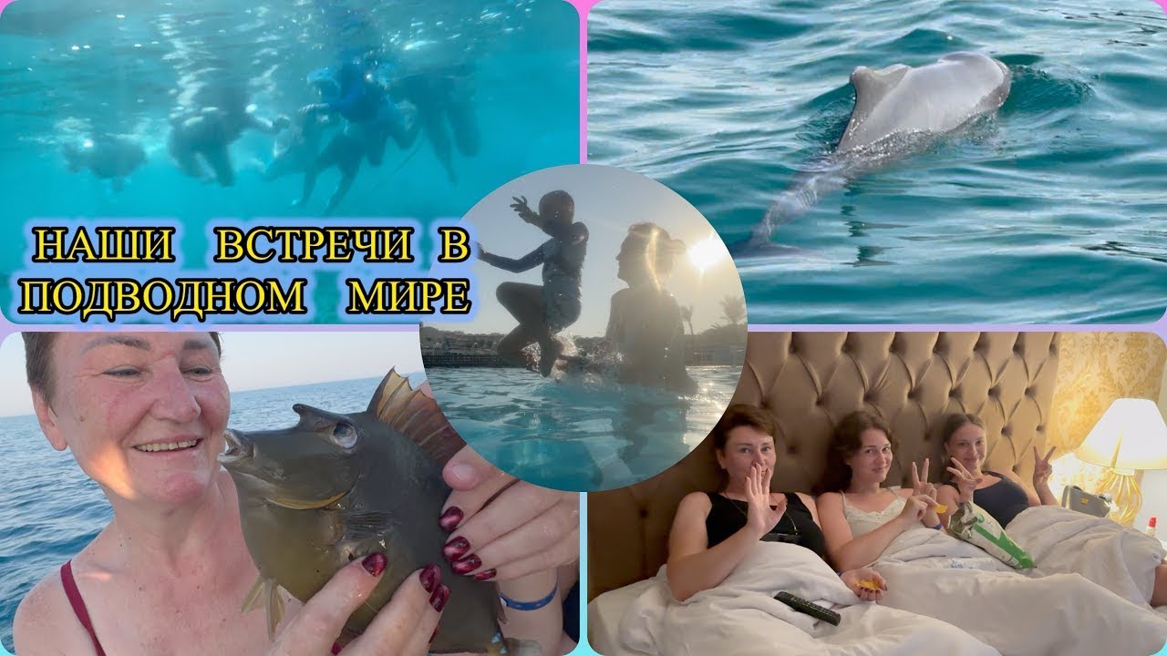 Последний день/ Встреча с морскими жителями/Три поколения/Ловля рыбы и кольмаров ножом