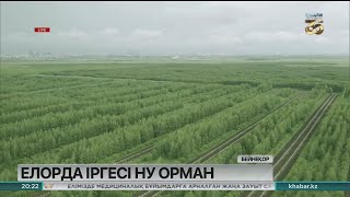 Елорда іргесі - ну орман