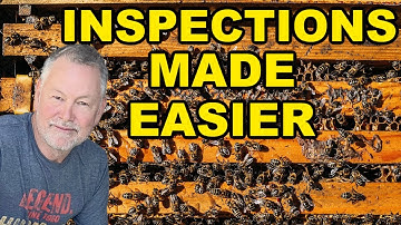 Beekeeping Inspections Made Simple With The Right Hive Tool