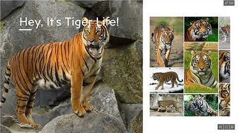 New Intro 2020-2021!