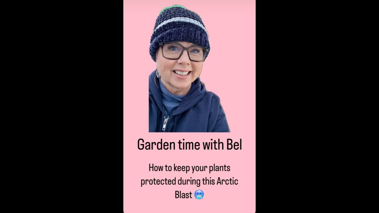 How to keep your plants protected during this Arctic Blast! - YouTube