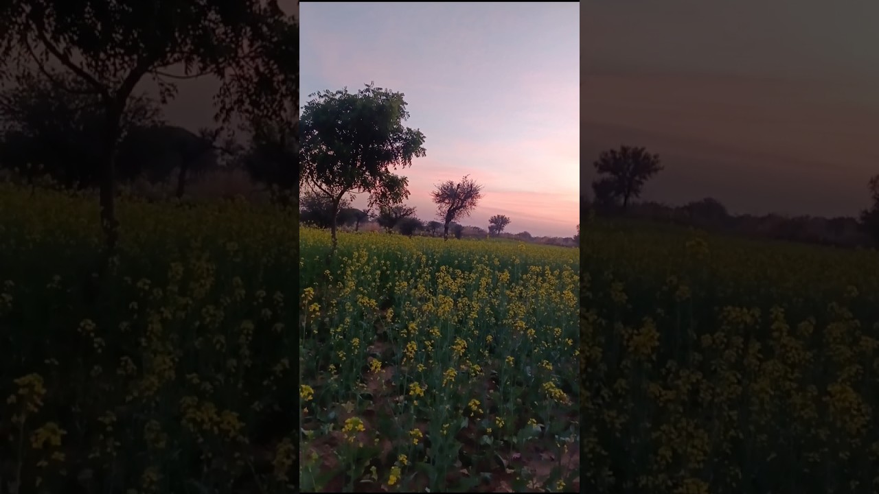 payr kr ke dekho na 🥰🥰