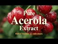 Boost Your Health with Acerola