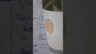 Today WBJEE EXAM in West Bengal | Day- 4 #reneet2026 #reneet #reneetug #viral #neettostethoscope