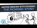 Master medicine with picmonic the picmonic story