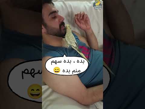 هرکس دستش به دهنش برسه لیمو هم اونجاس هههههه   عروسهلندی  