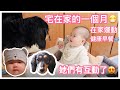 幾乎整個月都宅在家😷企鵝和薯條第一次互動😍在家運動做什麼🧘🏻‍♀️Suenn Monthly Vlog #3