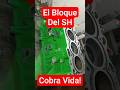✅ El Bolque del SH-MRi COBRA VIDA 👌 💪 😉