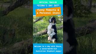 Official Trailer | "Diora's Day Out" | #Aussie, #Australian Shepherd puppy, #Aussie puppy