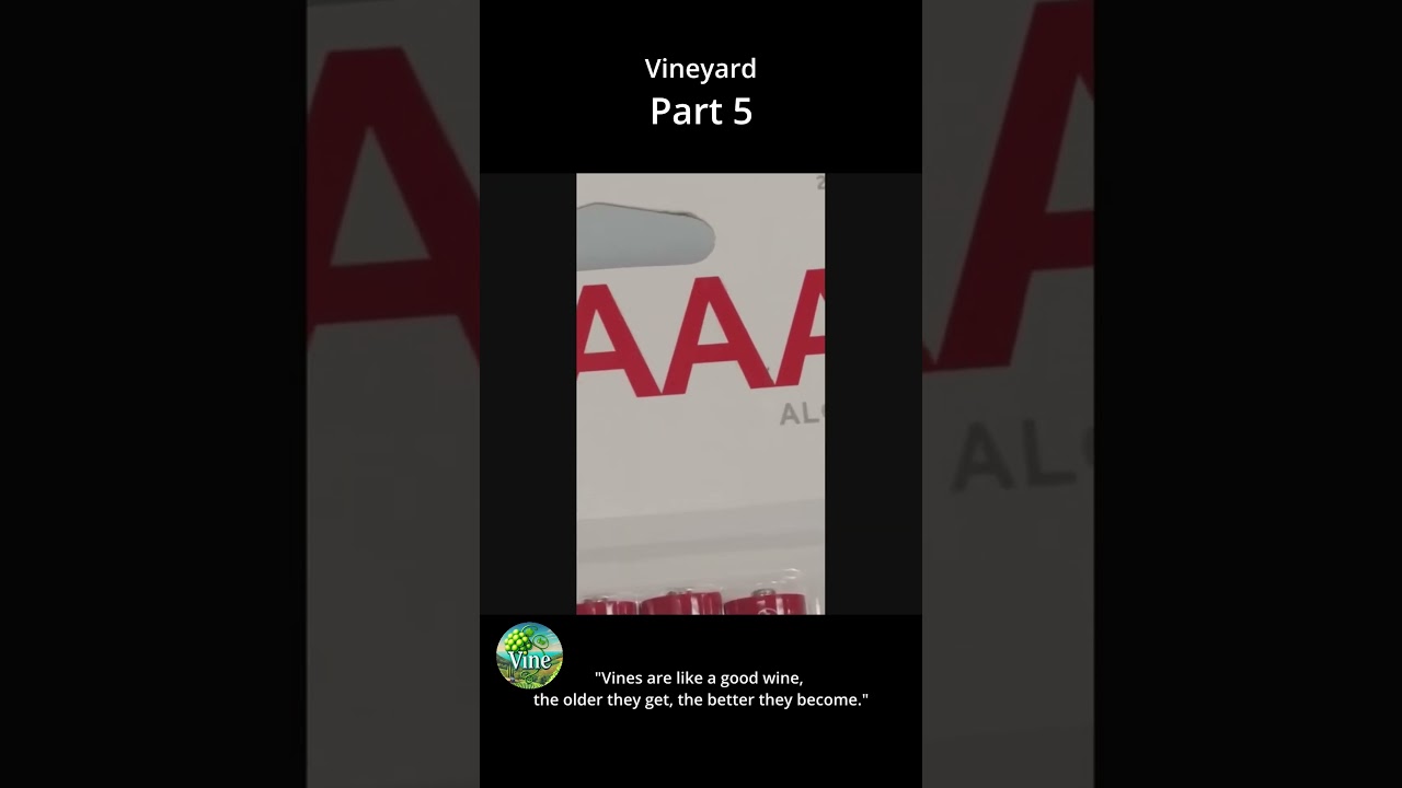 Best Vines Funny Videos 