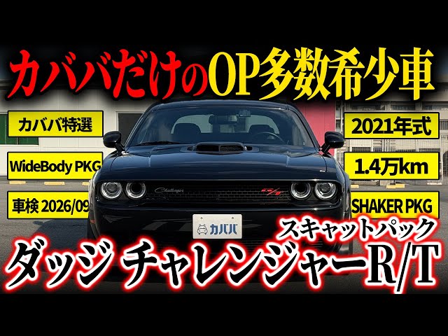 Full of great options!] The widebody and shaker combination