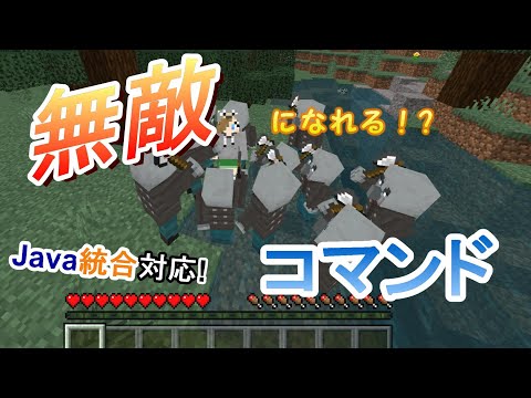 無敵になれる！？コマンドを紹介!!【minecraft】