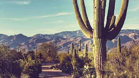 Hazy Summer Vibes II Hermanos Gutierrez Playlist
