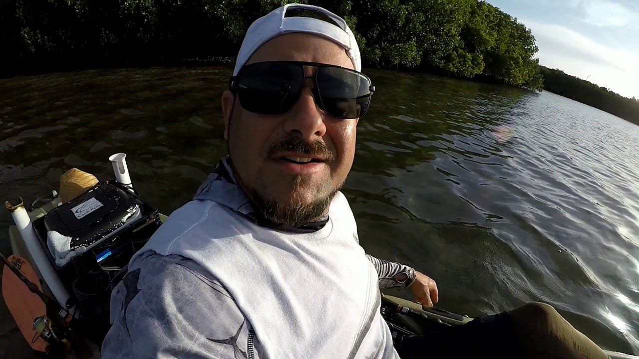 Tampa bay flounder on the flats YouTube