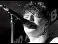The Hives - "Go Right Ahead" live in New York