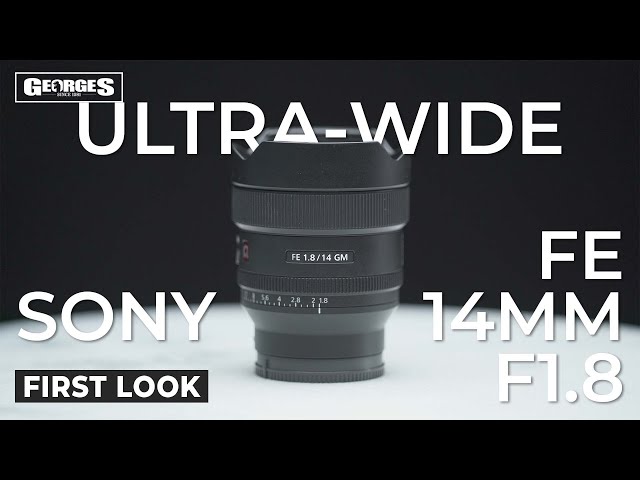 Sony FE 35mm f/1.8 First Impressions - The Photography Enthusiast