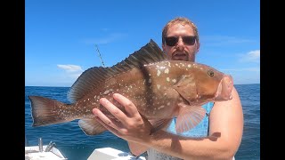 LIMITING Out on *GIANT* Grouper {Catch Clean Cook} Gulf of Mexico Fishing