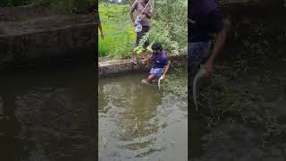 #fishcatching #fishing #shortvideo