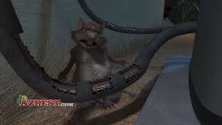 Tucson Pack Rats | Arizona Pest Control Company