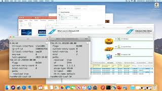 Arrcus ArcOS BGP EVPN with Workload Mobility & Analytics