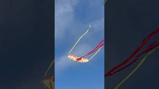 Freedom #kite #kiteflying #shorts #fypシ #relaxing #viral #beach #meditation