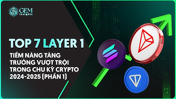 TOP 7 Layer 1 tiềm năng tăng trưởng vượt trội trong chu kỳ crypto 2024-2025 (Phần 1)