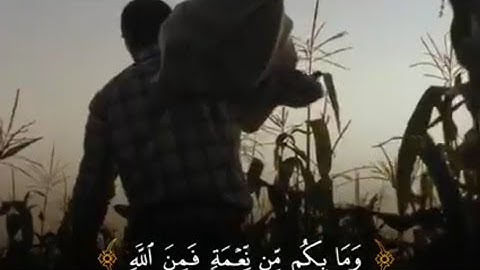 تلاوة خاشعة🥰 القاريء عبدالرحمن مسعد ( افغير الله تتقون