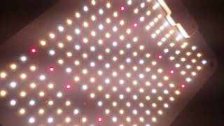Growstar Led QB Unboxing #growstar