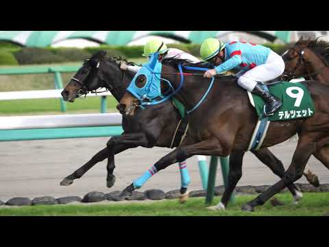 【競馬🐴現地撮影】ダービー卿CT 良血テルツェット４連勝で難なく重賞の壁を突破！