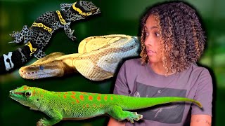 5 Reptiles That DON'T Take Up Time