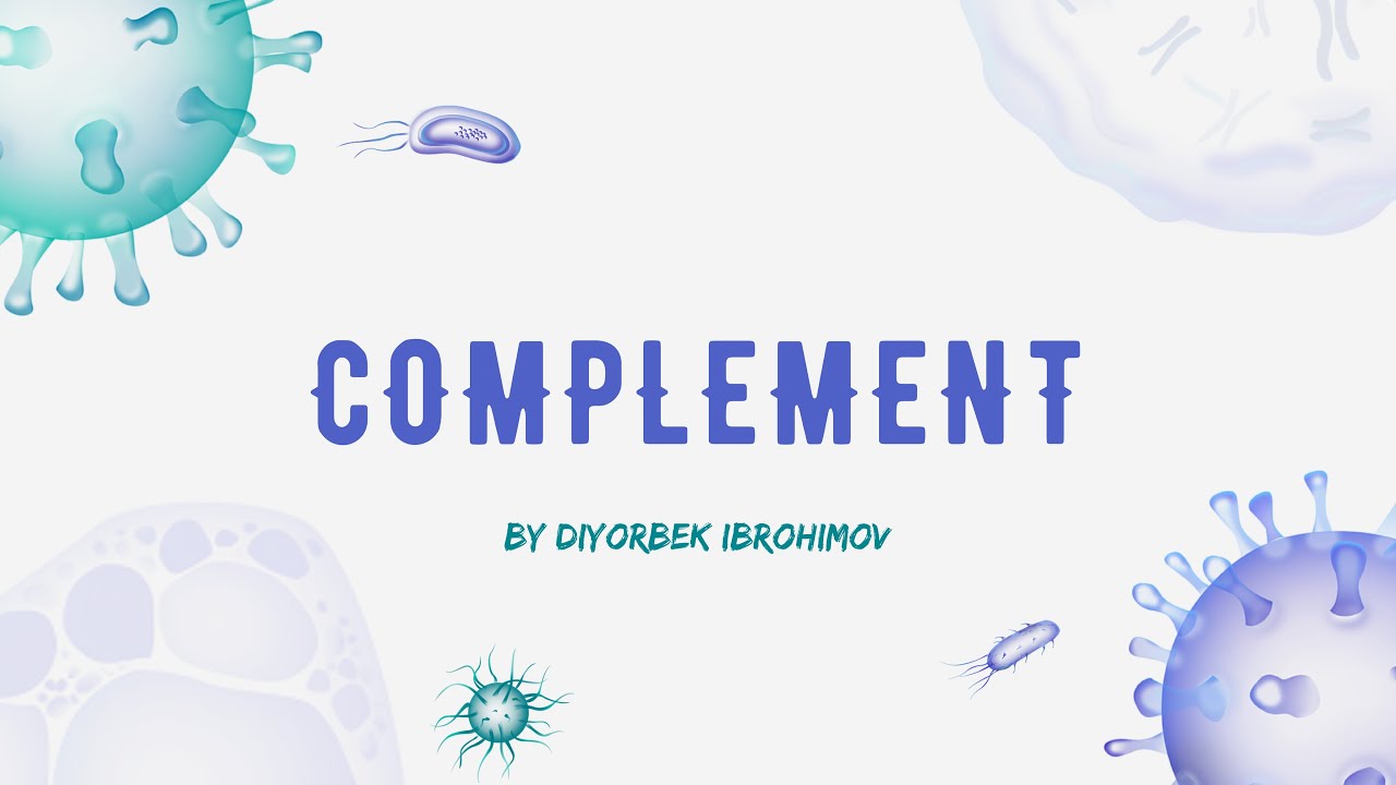 The Complement System | Immunology - YouTube