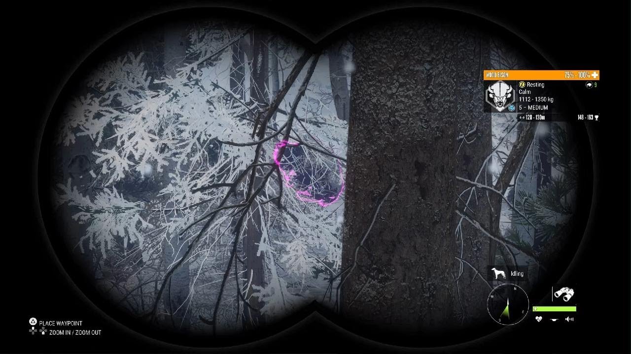 Woooooop woooooop redemption dime