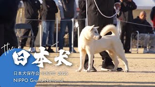 BOB & BIS: NIHON KEN HOZONKAI NIPPO Grand National 2025 令和7年度