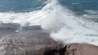 Dubois Sandro, Iuri Estigarribia, Franklin França