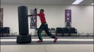 Hook, Round, Backfist, Reverse Punch